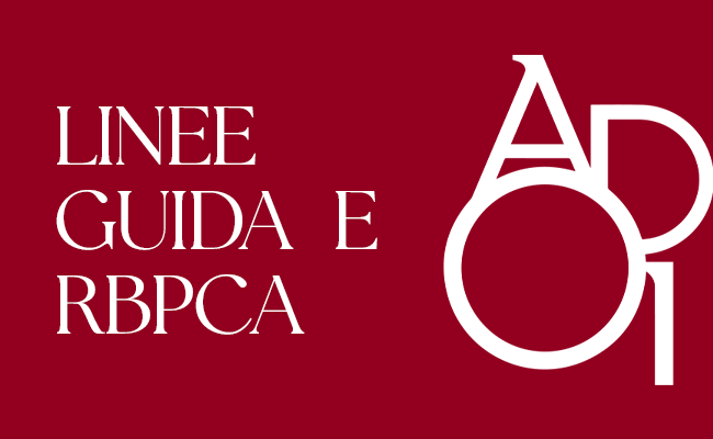 Linee Guida