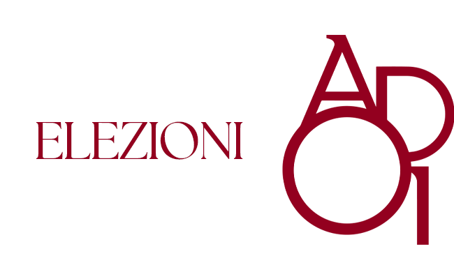 Elezioni